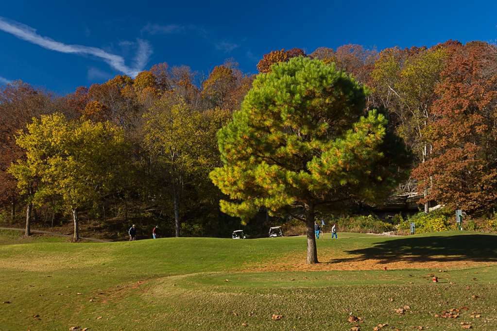The Greens II At Bella Vista Village Екстериор снимка